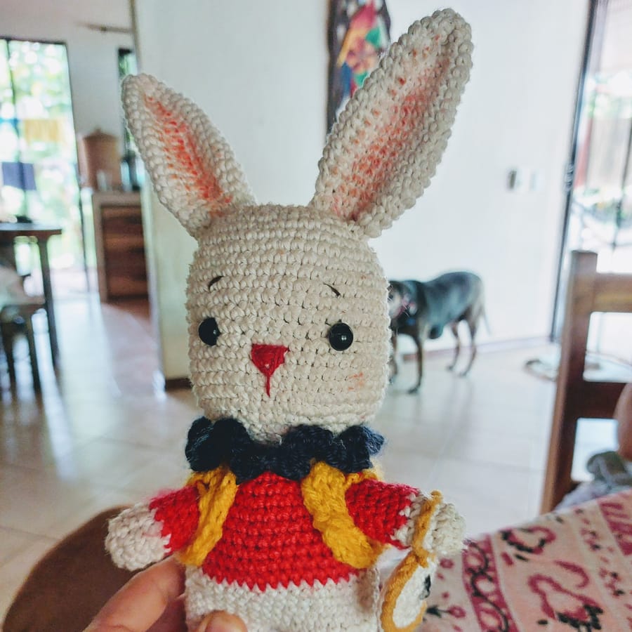 White storybook bunny in a red outfit — handmade crochet
