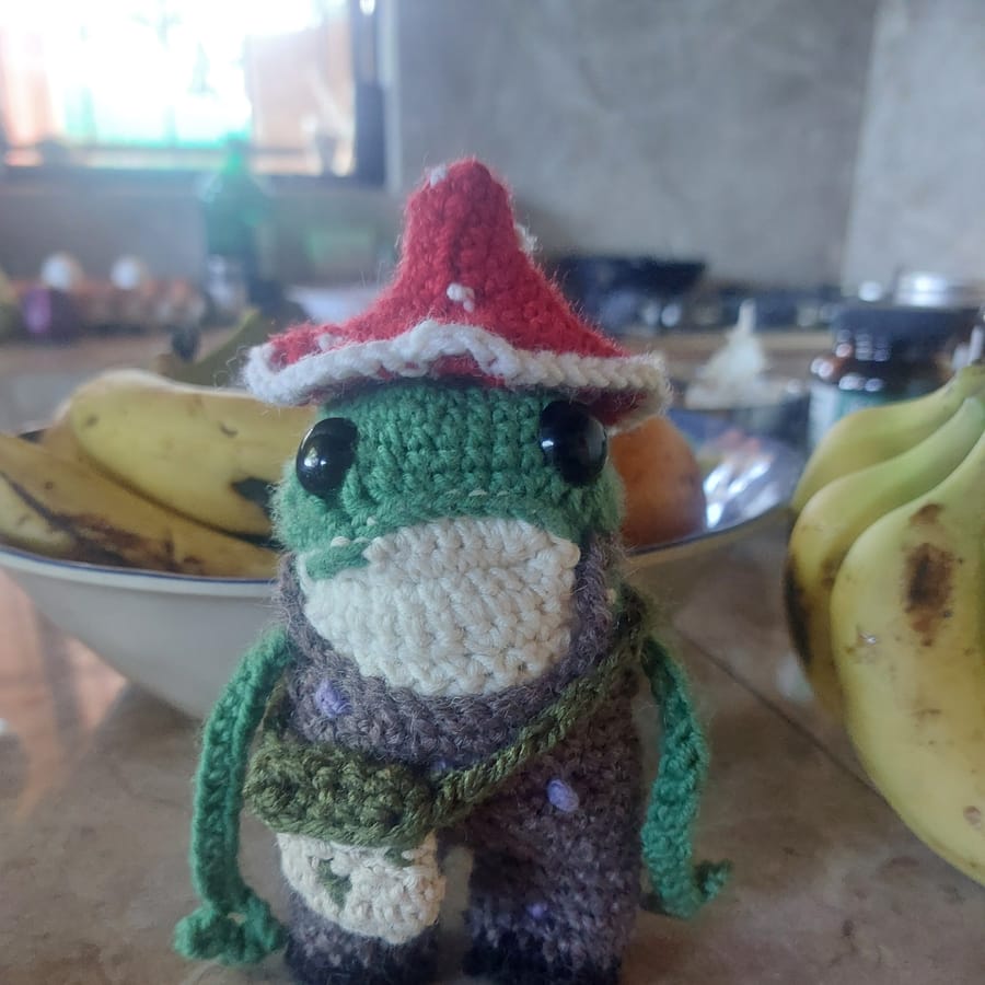 Tree frog amigurumi wearing a toadstool hat — handmade crochet