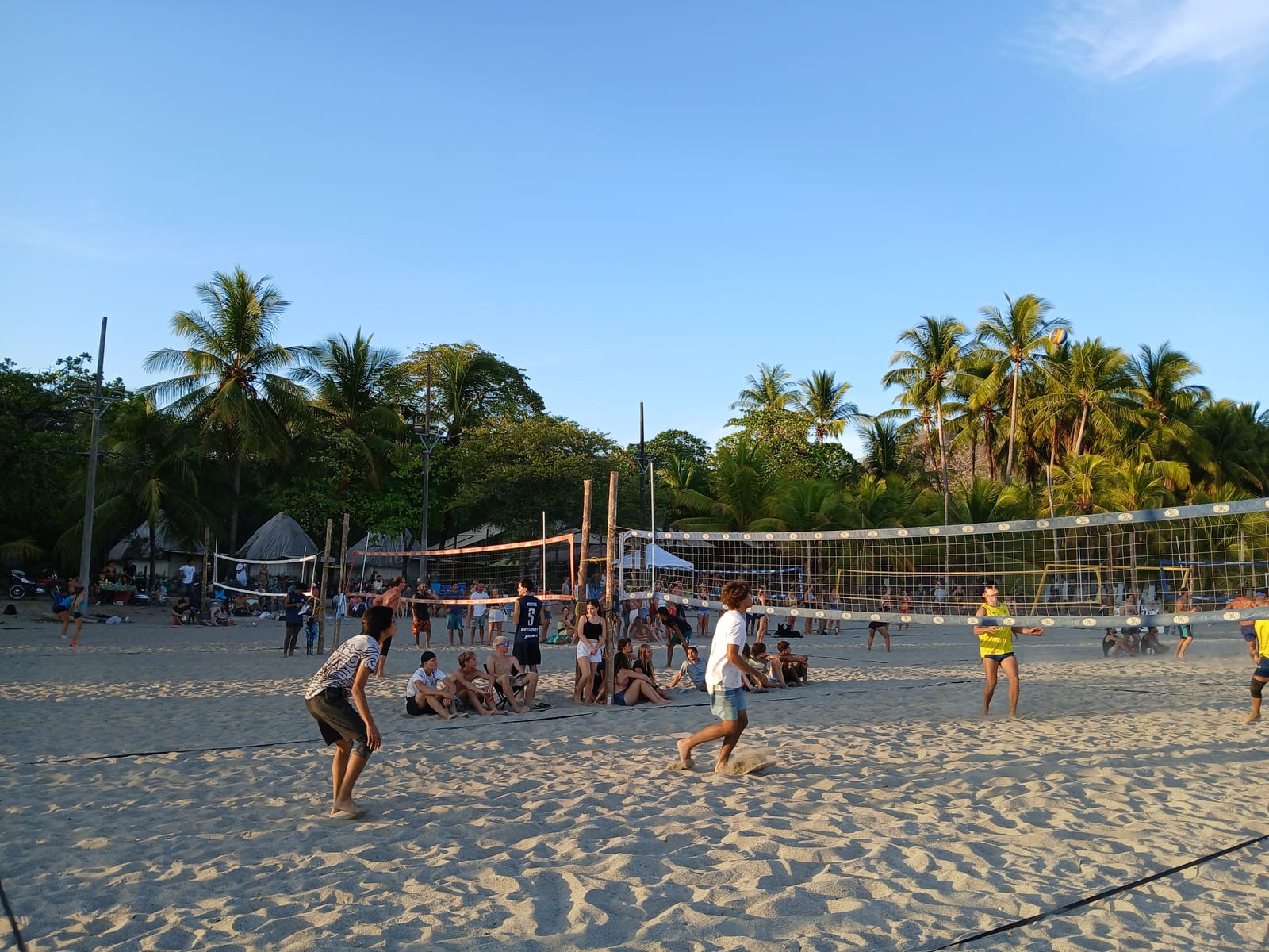 Beach volleyball court under palms at sunset