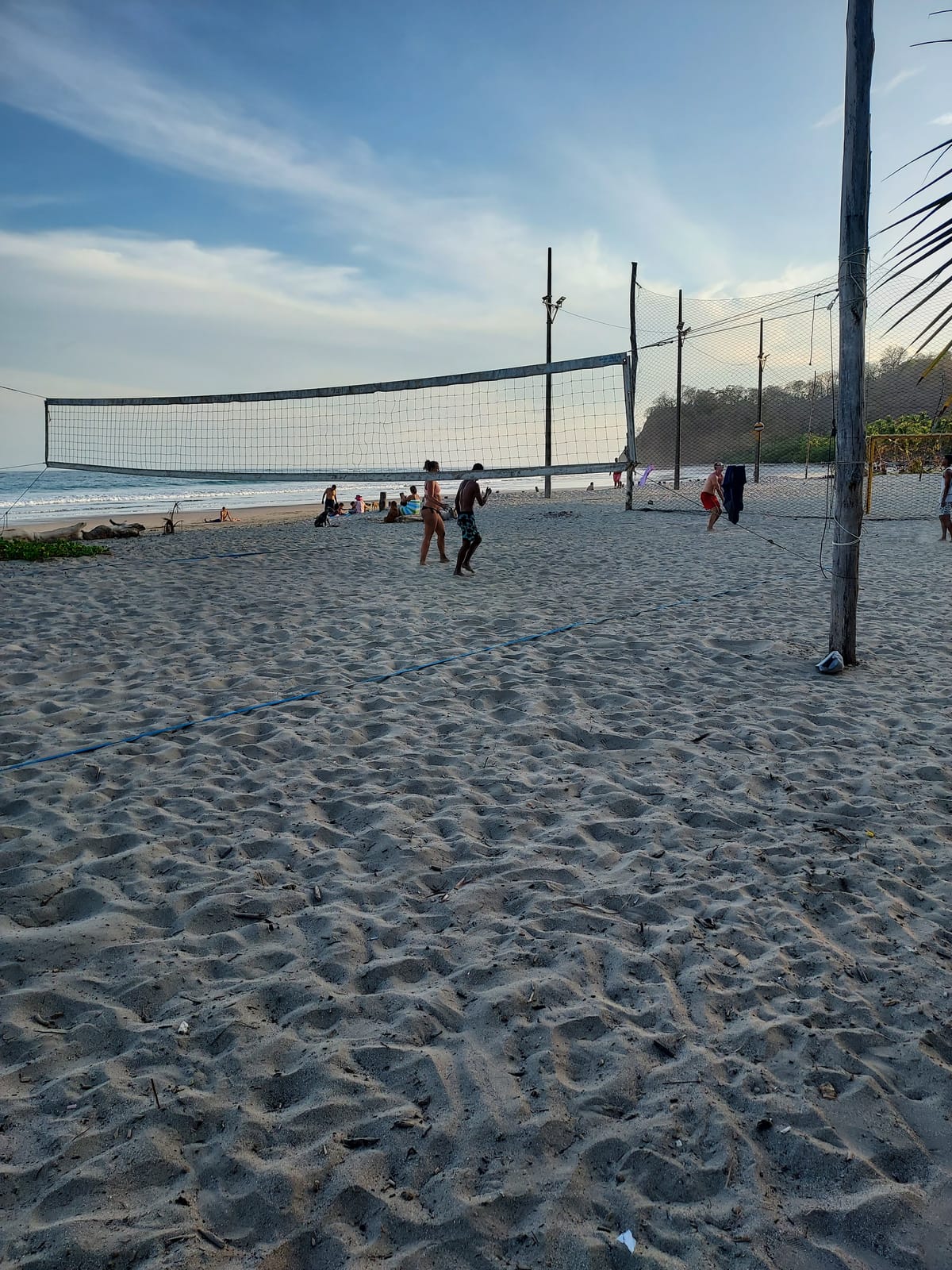 Beach volleyball court lined with palm trees